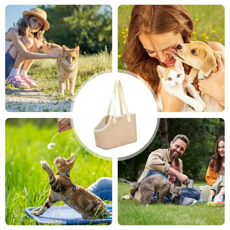 Retail Dog Chest Carrier Porta - Foldable Backpack Small review and price